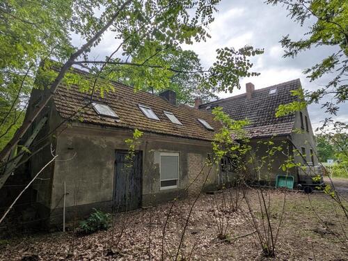 Foto - Einfamilienhaus in Altdöbern zum Kaufen