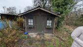 Foto - Garten in LangenhagenGodshorn - 999,00&nbsp;EUR Kaltmiete, ca.&nbsp; 0,00&nbsp;m&sup2;