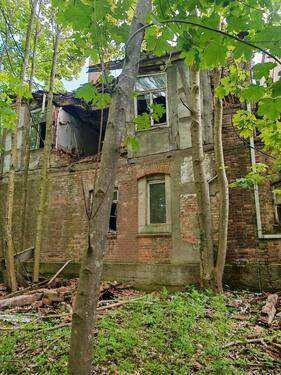 Foto - Grundstück 8721m² & Ruine Gutshaus Radepohl 500m²