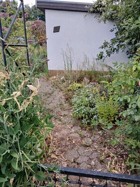 Foto - Kleingarten - 600,00 EUR Kaltmiete, ca.  0,00 m²