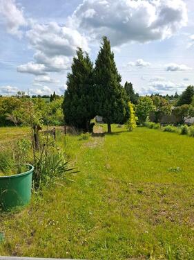Foto - Grundst&uuml;ck zur Miete in Klostermansfeld