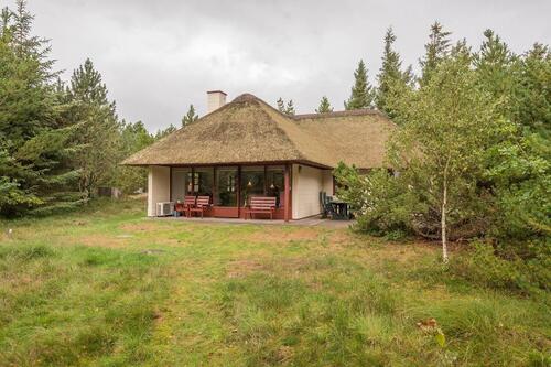 Foto - Der Frühling steht vor der Tür - Ferienhaus, Blaavand, DK