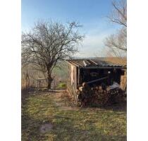 Idyllisches Gartengrundstück im Bottwartal zu vermieten - Beilstein