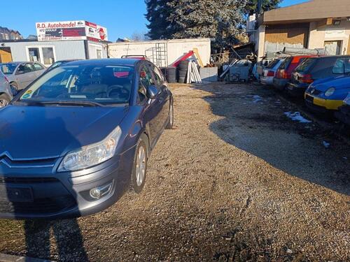 Foto - andere in Weissach im Tal