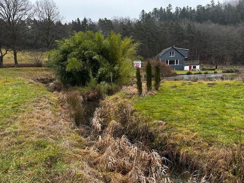 Foto - Einfamilienhaus in Simmern/Hunsrück