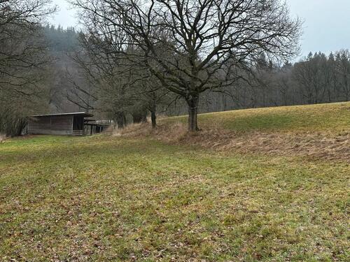 Foto - Einfamilienhaus in Simmern/Hunsrück zum Kaufen