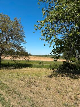 Foto - Grundst&uuml;ck zur Miete in Bad Wimpfen