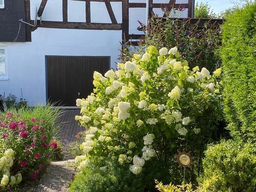 Foto - 6 Zimmer Einfamilienhaus in Allendorf (Eder)