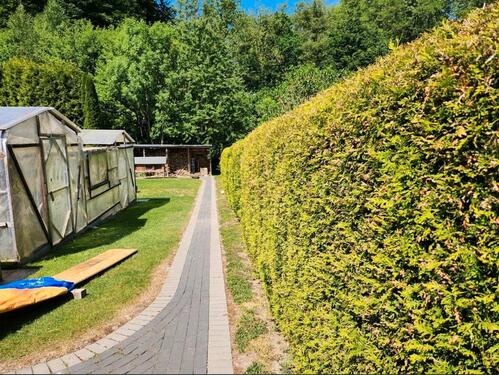 Foto - Einfamilienhaus in Leopoldshöhe zum Kaufen