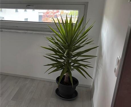 Foto - Ab Herbst Doppelhaushälfte inkl. Sauna & Carpot in Waldbrunn (Wü)