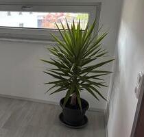 Ab Herbst Doppelhaushälfte inkl. Sauna & Carpot in Waldbrunn (Wü) - Fürth Atzenhof