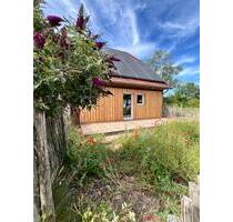 3 Zimmer Wohnung mit 2 Terrassen und Garten - Reppenstedt