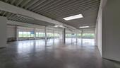 Foto - Helle Lager- & Produktionshalle (450–1100 m²) nahe Hamburg – Top