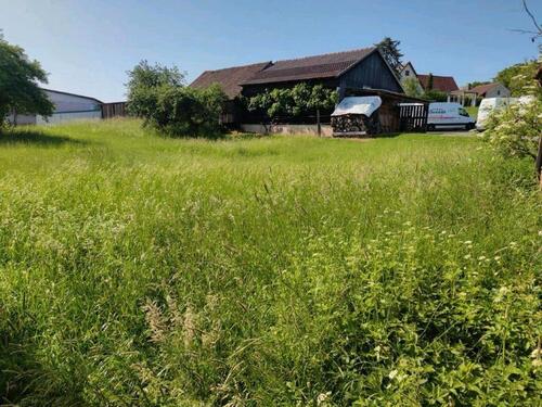 Foto - Mehrfamilienhaus, Wohnhaus in Oberleichtersbach zum Kaufen