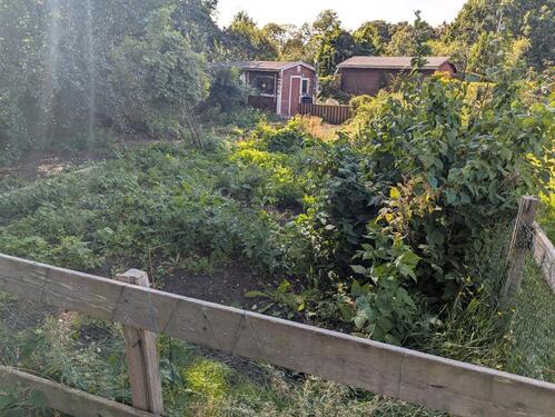 Foto - kleingarten Schrebergarten - 1.234,00&nbsp;EUR Kaltmiete, ca.&nbsp; 0,00&nbsp;m&sup2;