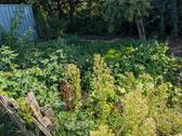 Foto - Grundst&uuml;ck zur Miete in Bredstedt