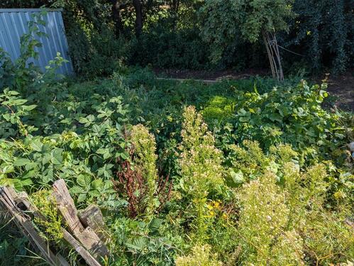 Foto - Grundst&uuml;ck zur Miete in Bredstedt