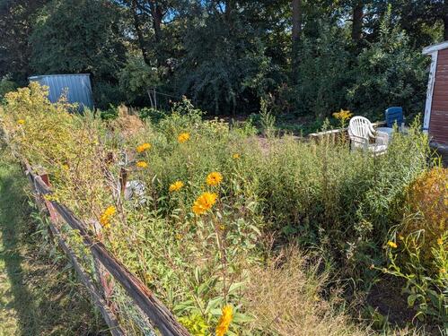 Foto - Grundst&uuml;ck in Bredstedt zur Miete