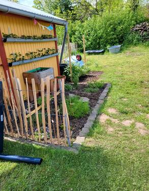 Foto - Ruhiger Kleingarten (300 m2) unterhalb des Klüts abzugeben