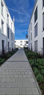 Foto - 2 Zimmer Etagenwohnung in Schliengen