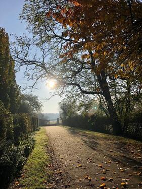 Foto - 2 Zimmer Erdgeschoßwohnung zum Kaufen in Köln