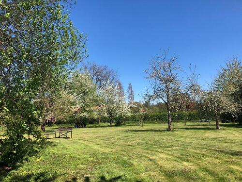 Foto - Erdgeschoßwohnung in Köln zum Kaufen