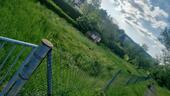 Foto - Grundstück zur Miete in Kaltennordheim