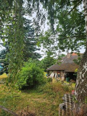 Foto - 5 Zimmer Einfamilienhaus in Werther