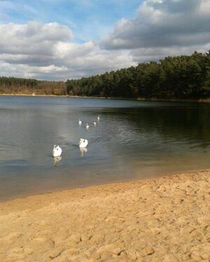 Foto - 3 Zimmer Etagenwohnung zum Kaufen in Mörfelden-Walldorf