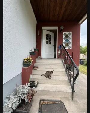 Foto - Einfamilienhaus zum Kaufen in Dessau-Roßlau