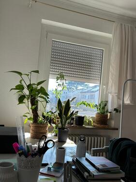 Foto - Etagenwohnung zur Miete in Konstanz