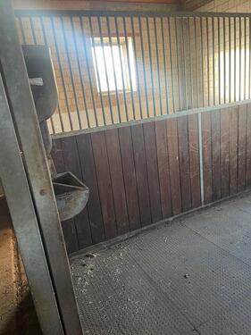 Foto - andere in Löwenstein zur Miete