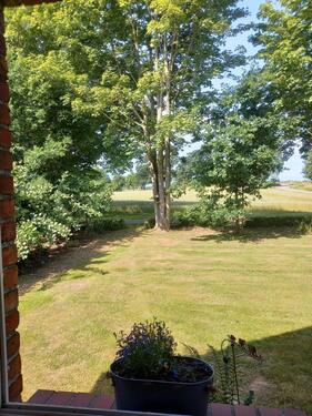 Foto - andere in Jördenstorf zur Miete