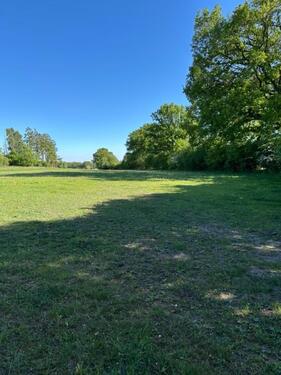 Foto - Einfamilienhaus in Kaltenkirchen zum Kaufen