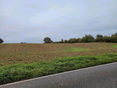 Foto - Ackerland in Steinfeld - 4.500,00 EUR Kaltmiete, ca.  0,00 m²