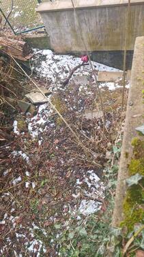 Foto - 14 Zimmer Mehrfamilienhaus, Wohnhaus in Gera