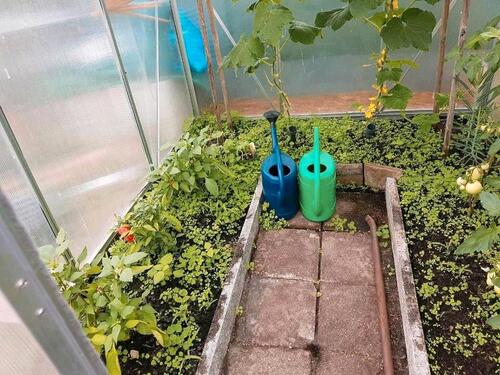 Foto - Grundst&uuml;ck zur Miete in Eisenhüttenstadt