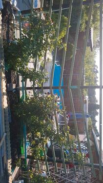 Foto - Grundst&uuml;ck in Eisenhüttenstadt zur Miete