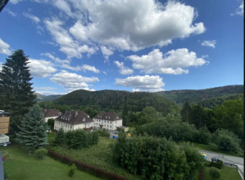 Foto - Etagenwohnung zur Miete in Bad Lauterberg im Harz