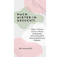 Zentrale 1-Zimmer Wohnung Nachmieter - Wissen