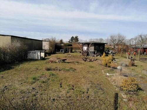 Foto - Kleingarten in einer Kleingartenanlage in Drebkau