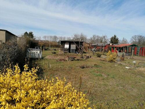 Foto - Grundst&uuml;ck zur Miete in Drebkau