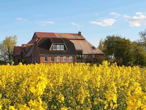 Foto - Ferienwohnung Halbinsel Eiderstedt Nähe St.Peter-Ording