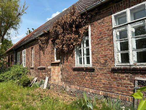Foto - 4 Zimmer Doppelhaushälfte in Seelow