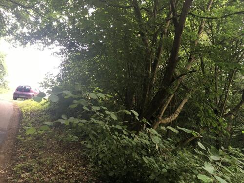 Foto - Grundstück zur Miete in Steinbach am Donnersberg