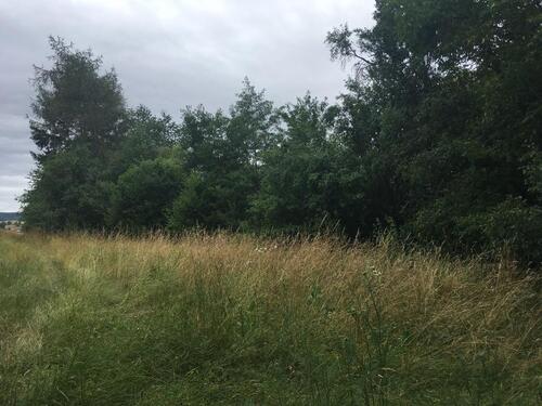 Foto - Grundstück in Steinbach am Donnersberg