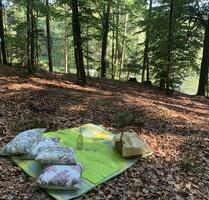 Freizeitgrundstück am See im Wald - Eging am See Freizeitgrundstück am See im Wald - Eging am See