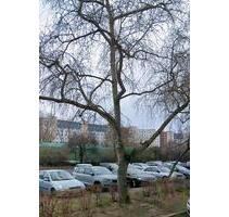 Mietwohnung - 580,00&nbsp;EUR Kaltmiete, ca.&nbsp; 66,00&nbsp;m&sup2; in Magdeburg (PLZ: 39126) Barleber See
