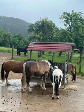 Foto - andere in Schnaittach zur Miete
