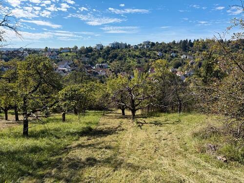 Foto - Grundst&uuml;ck in Esslingen am Neckar